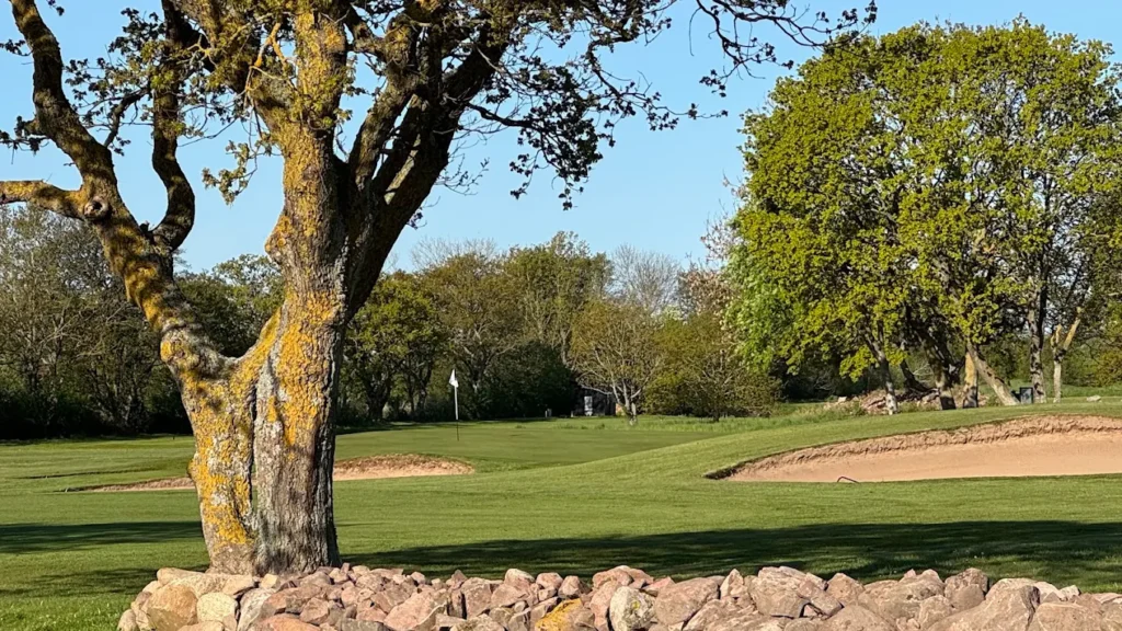Golfbana på St Arilds Golfklubb på Kullahalvön